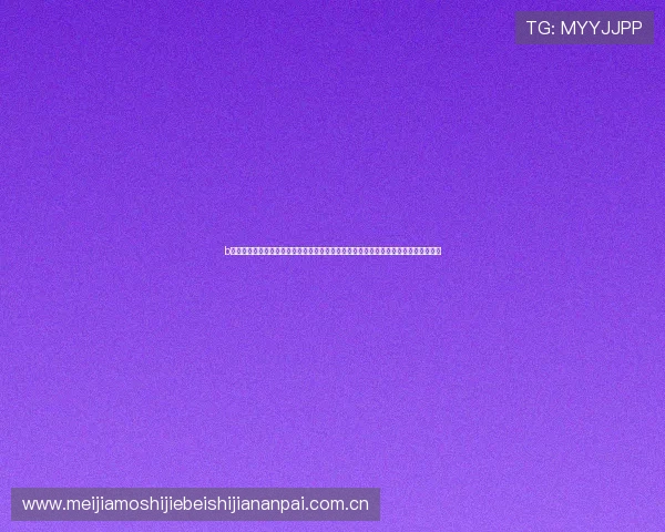 b体育网页版在线登录入口官网：打造专业世界杯报道平台满足用户多样化体育资讯需求